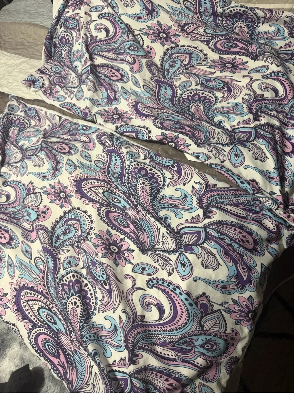 Paisley Pillow Cases